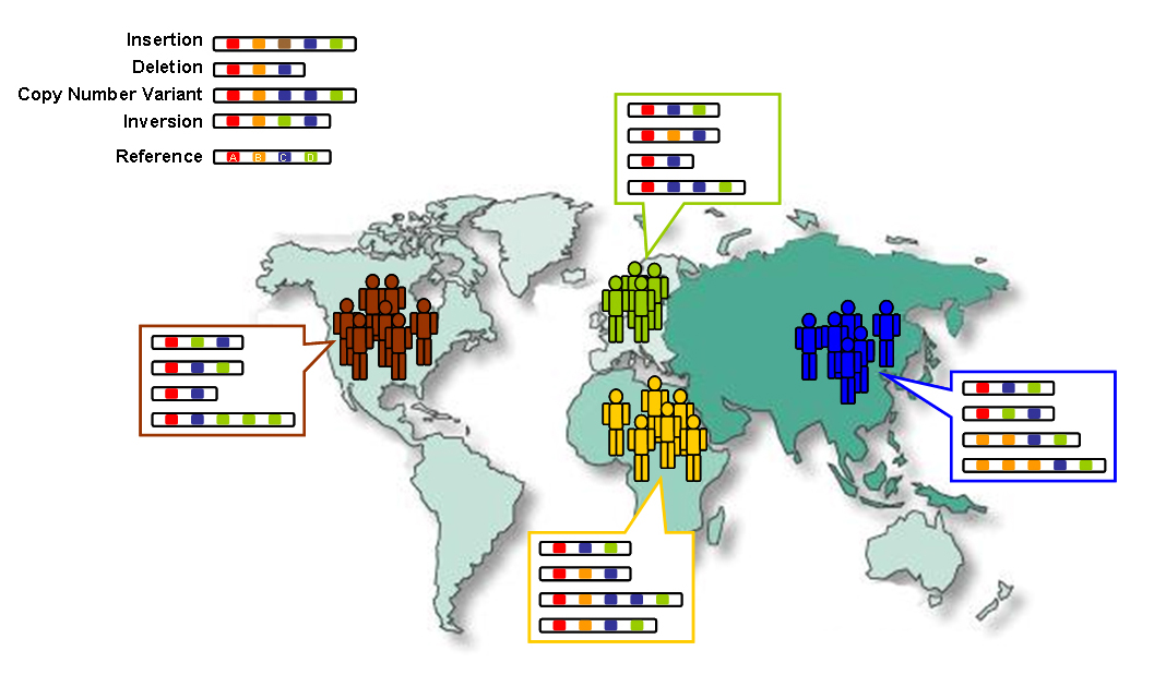 Map of different genomes of the 1000 genomes project